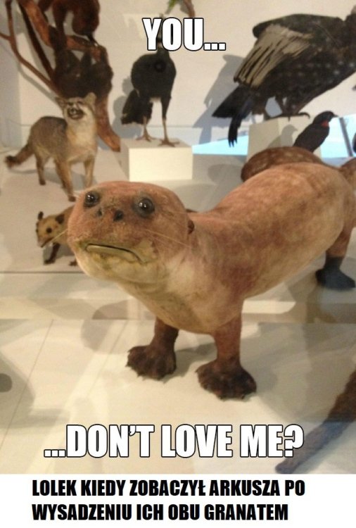 Lolek kiedy zobaczył minę Arkusza po tym kiedy wysadził ich granatem.jpg