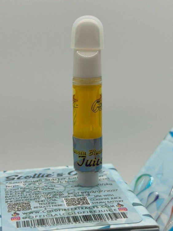 WhatsApp Image 2026-03-23 at 2.11.25 PM.jpeg