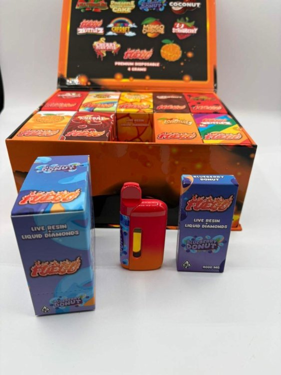 WhatsApp Image 2026-03-23 at 2.11.24 PM.jpeg