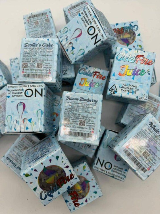 WhatsApp Image 2026-03-23 at 2.11.24 PM(2).jpeg