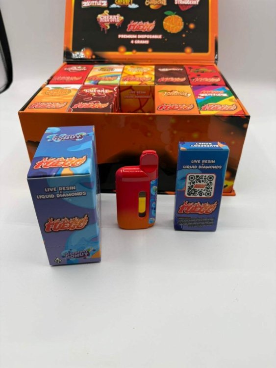 WhatsApp Image 2026-03-23 at 2.11.24 PM(1).jpeg