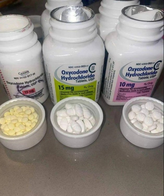 WhatsApp Image 2026-03-06 at 8.47.07 PM.jpeg